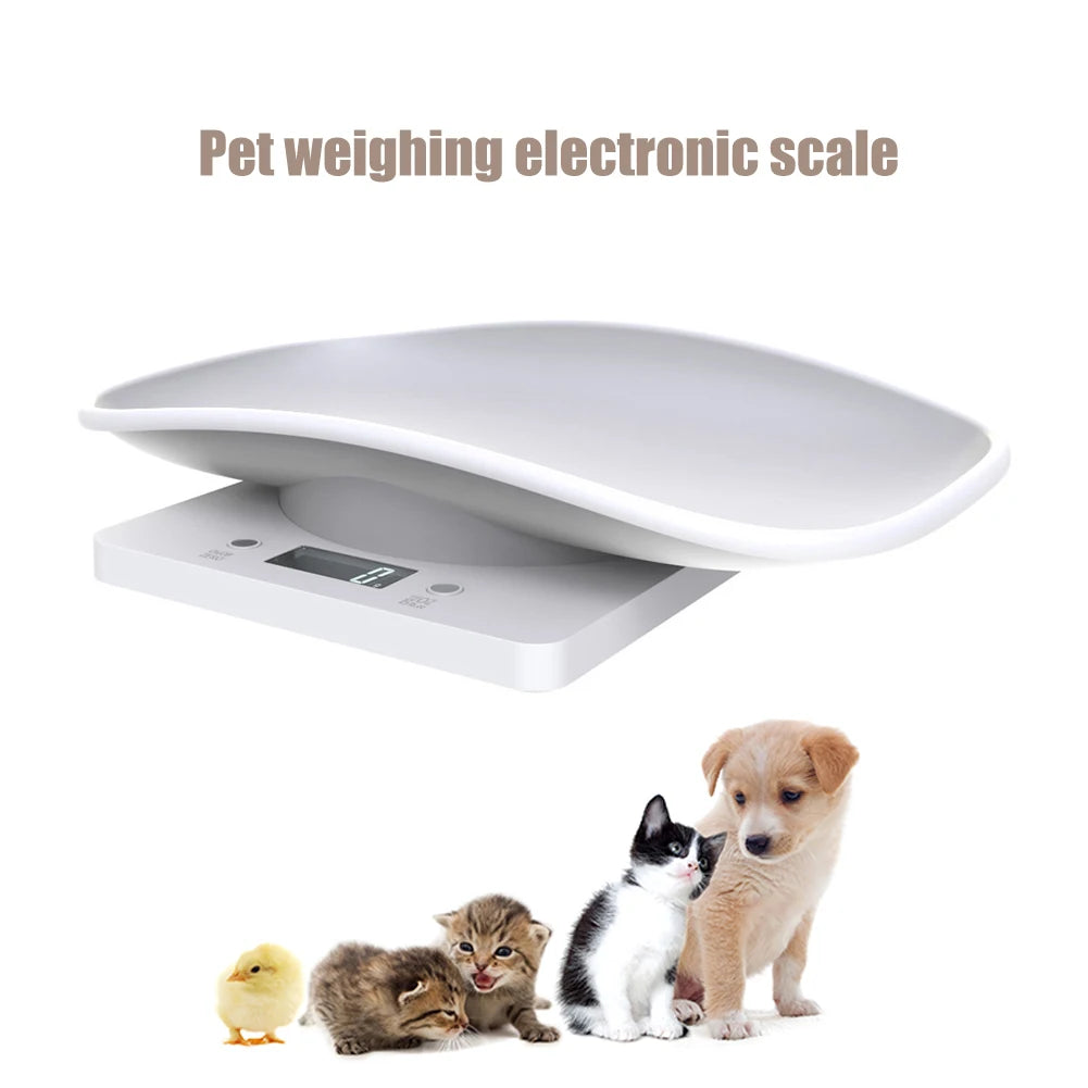 Pet weighing electronic scale with small animals on a white background